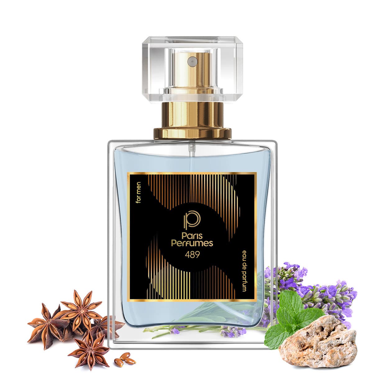 Paris Perfumes N° 489 - 21% | zamiennik Thierry Mugler Alien Man - 30 ml