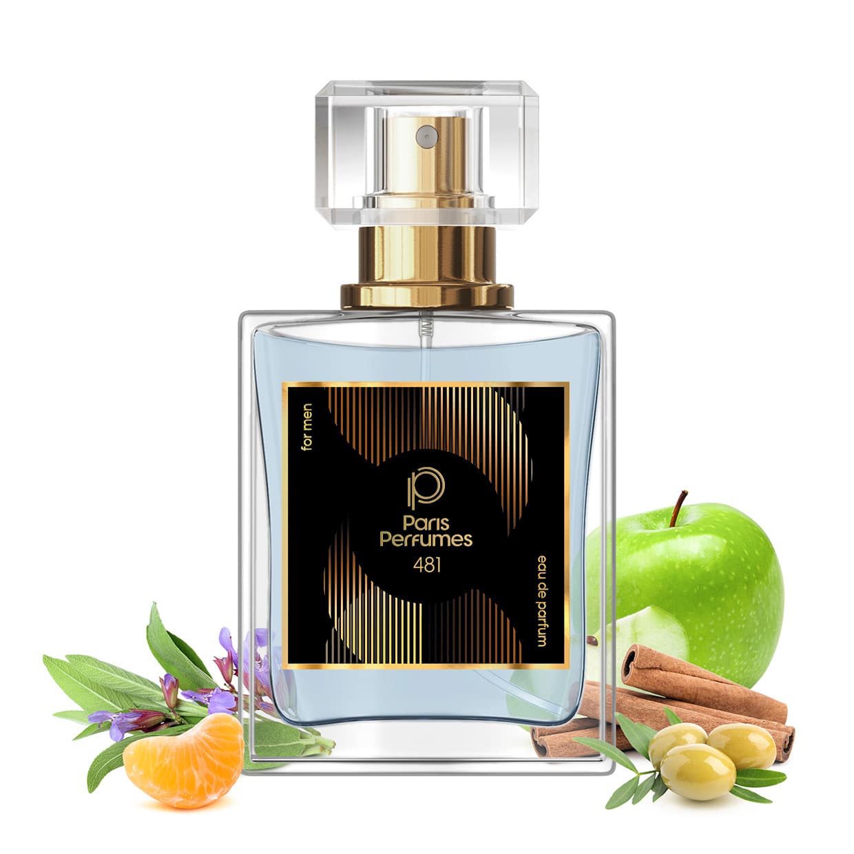 Paris Perfumes N° 481 - 21% | zamiennik Hugo Boss BOSS Bottled Infinite - 30 ml