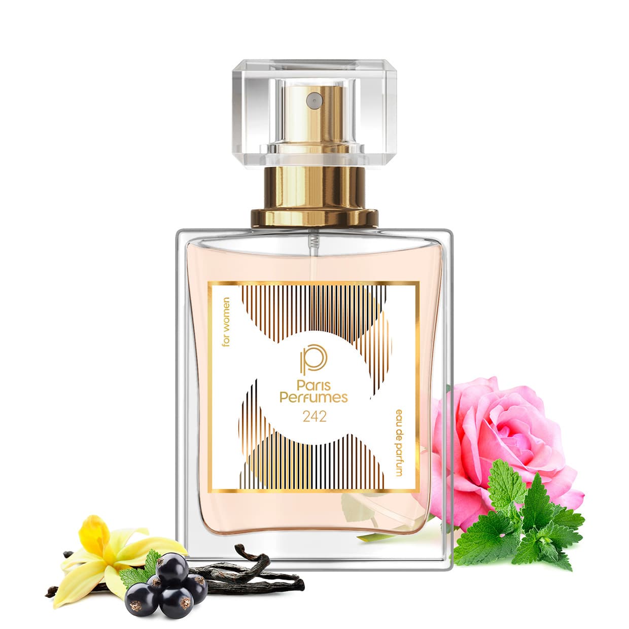 Paris Perfumes N° 242 - 25% | zamiennik Giorgio Armani Si - 30 ml