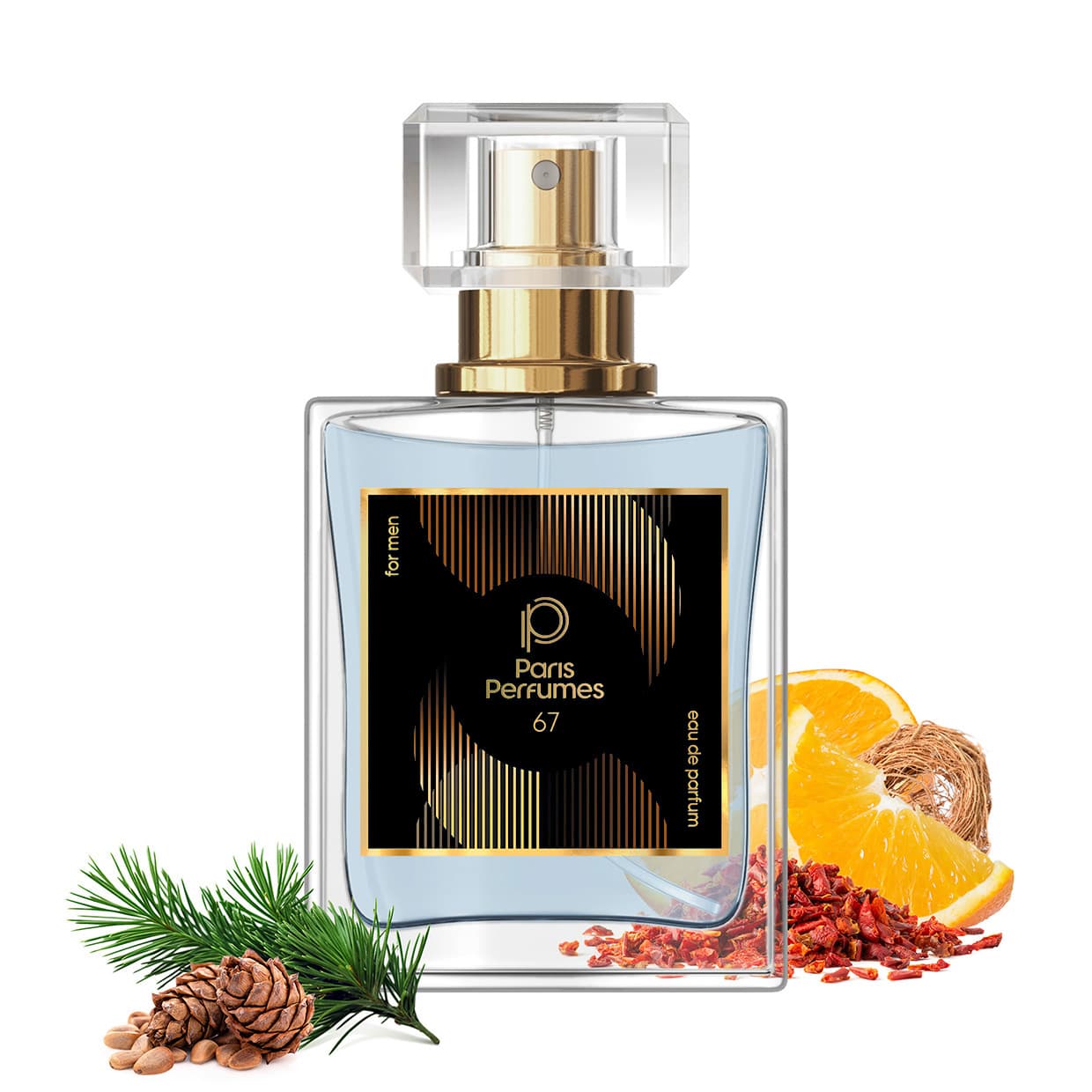 Paris Perfumes N° 67 - 21% | zamiennik Hermes Terre D'Hermes - 30 ml