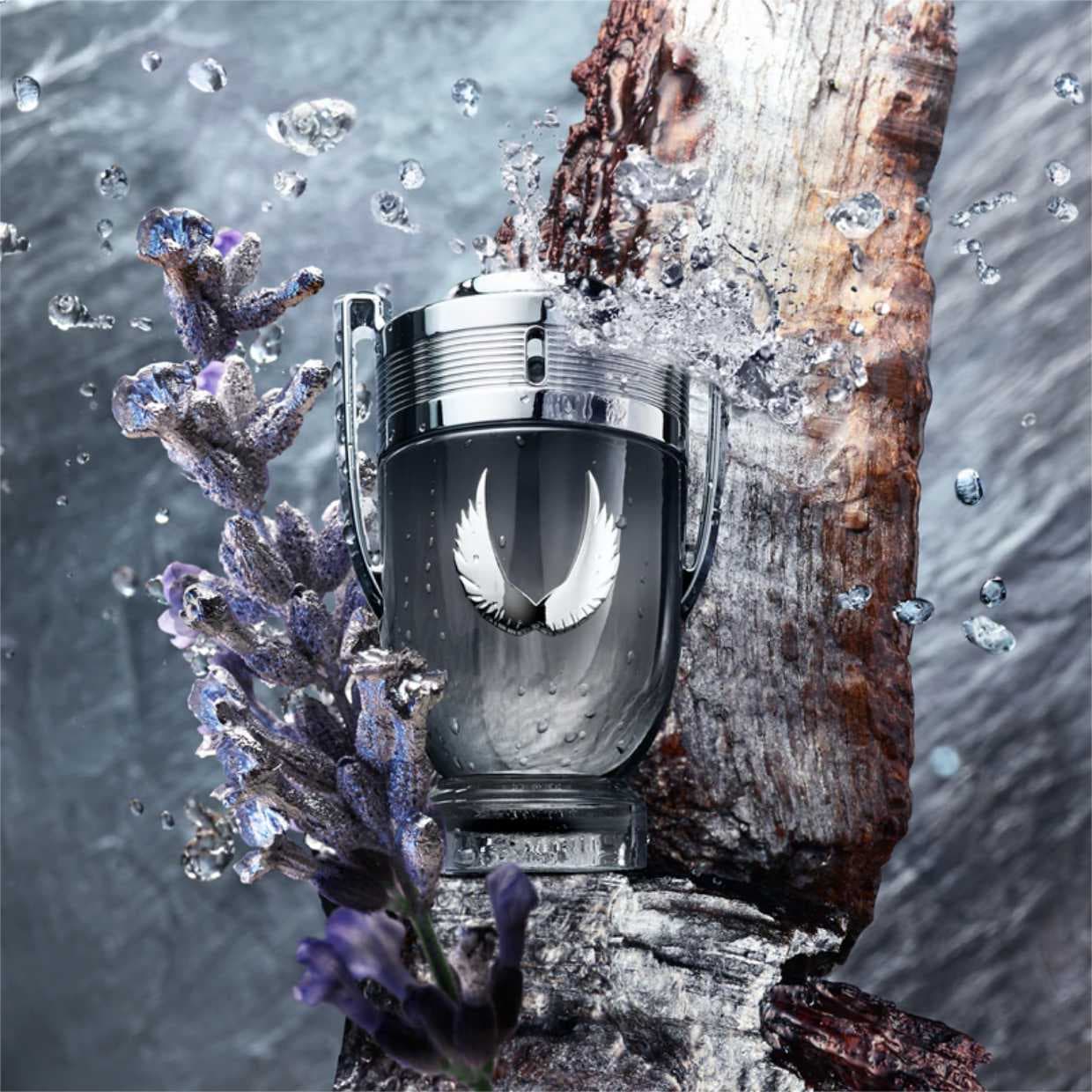 Paco Rabanne | Invictus Platinum