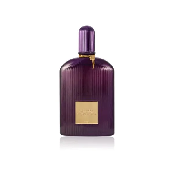 Velvet Orchid